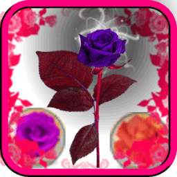 ikon Bubble Shoot 2017 Free