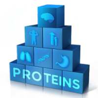 Rethink Protein on 9Apps