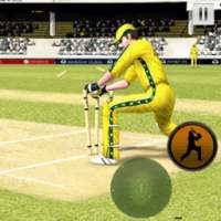 BBH Cricket Worldcup