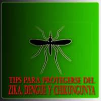 Tips para protegerse del zika on 9Apps