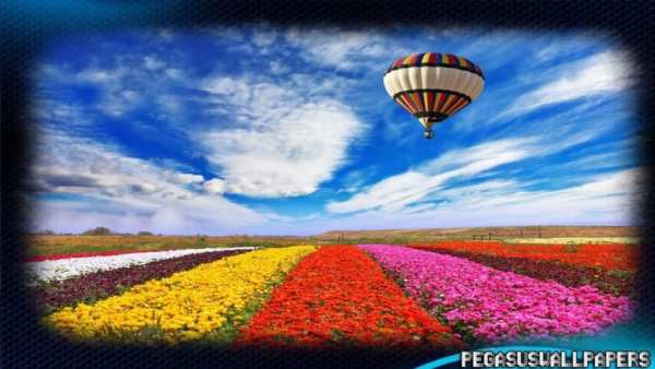 Hot Air Balloons Wallpaper screenshot 1