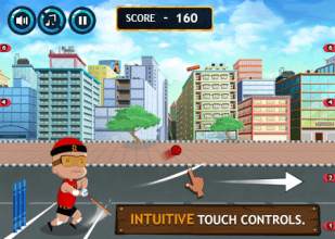 Mighty Raju Cricket screenshot 3