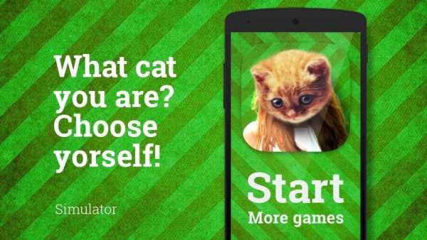 Cat Wajah Foto screenshot 3