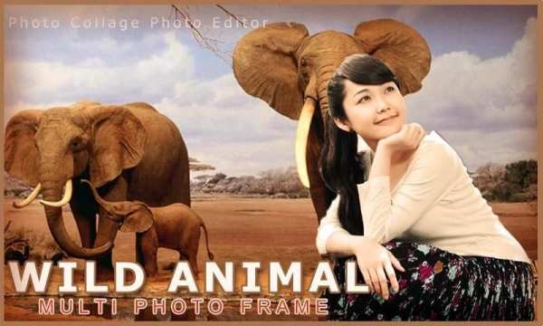 Wild Animal Photo Frame Multi स्क्रीनशॉट 3