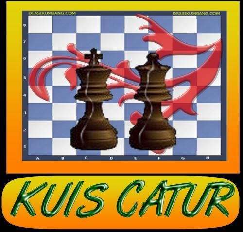 kuis catur скриншот 2
