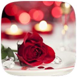 Rose of love Live wallpaper