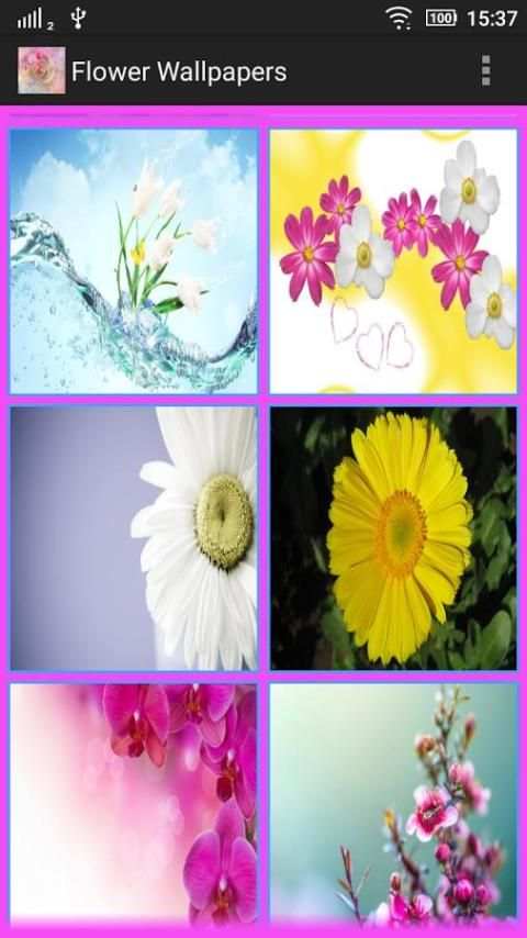 Flower Wallpapers screenshot 1