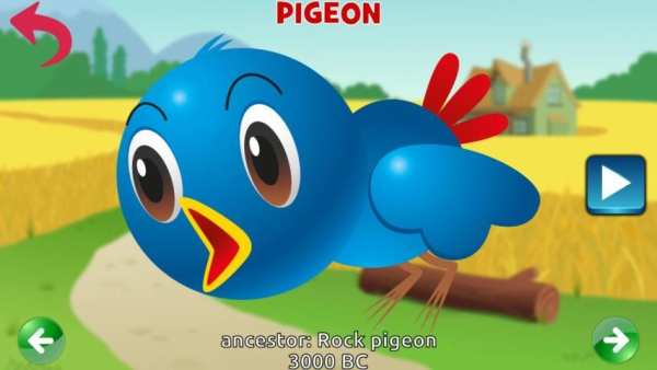 Farm Animals Sounds screenshot 8