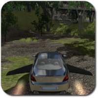 Transforming Flying Car