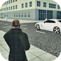 Crime Russian Simulator