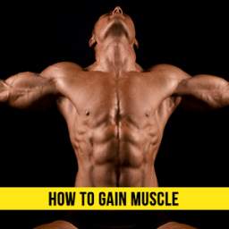 How to Gain Muscle