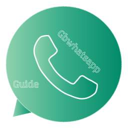 Guide For GBWhatsapp Dual 2 1.1