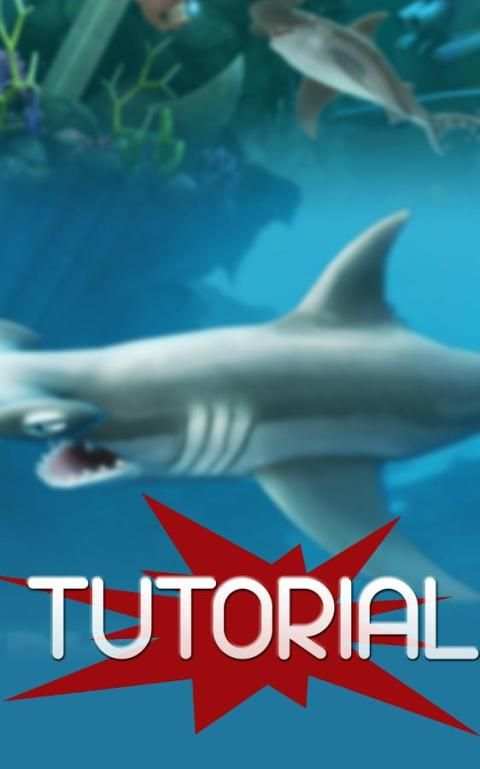 Free Hungry Shark Tutorial screenshot 2