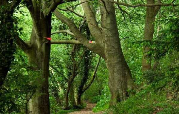 Escape Games Zone-207 screenshot 3
