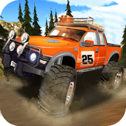 ikon Offroad 4x4 Truck Driver