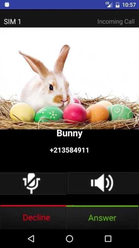 Fake Call Easter Bunny screenshot 3