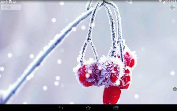 Frozen beauty live wallpaper screenshot 2