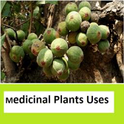 Medicinal plants Images n Uses