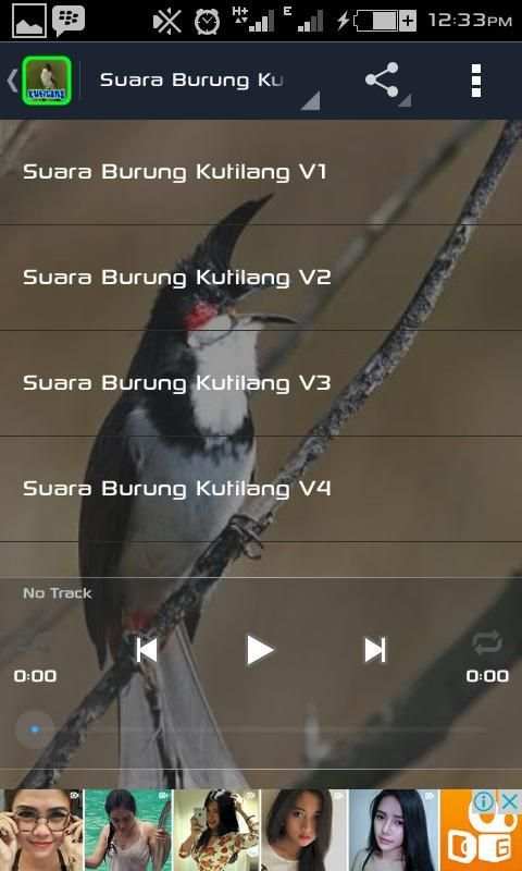 Suara Burung Kutilang screenshot 3