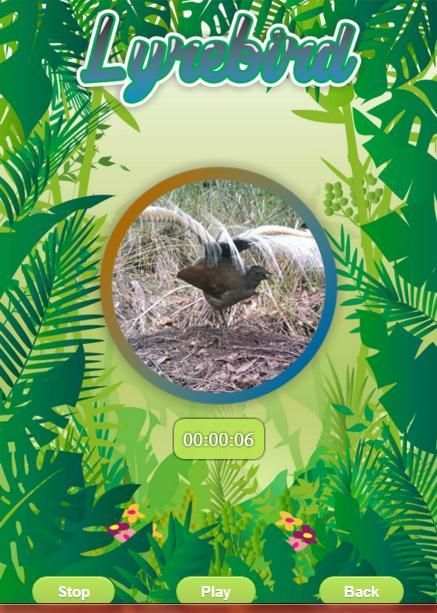 Lyrebird Singing screenshot 2