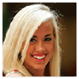 Georgia University Cheerleaders icon