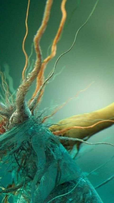 Biology.Bacteria.Wallpaper screenshot 5