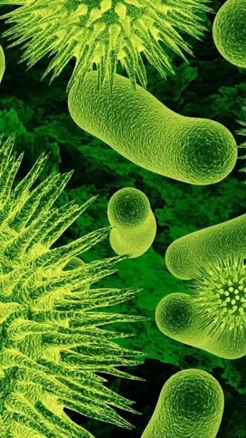 Biology.Bacteria.Wallpaper screenshot 7