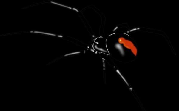 Black Widow Live Wallpaper screenshot 1