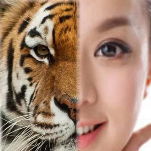 Tiger - Animal Face Maker screenshot 5