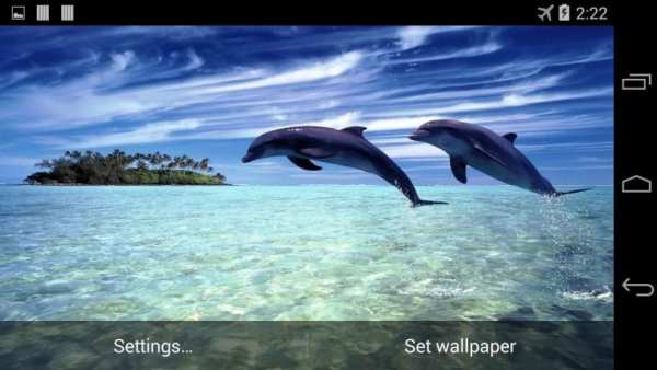 Magic Dolphins Live Wallpaper screenshot 2