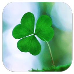 البرسيم محظوظ العشب أيقونة