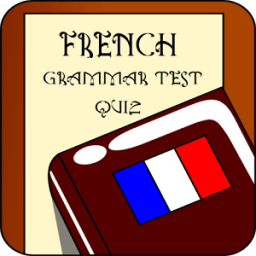 ikon French Grammar Test