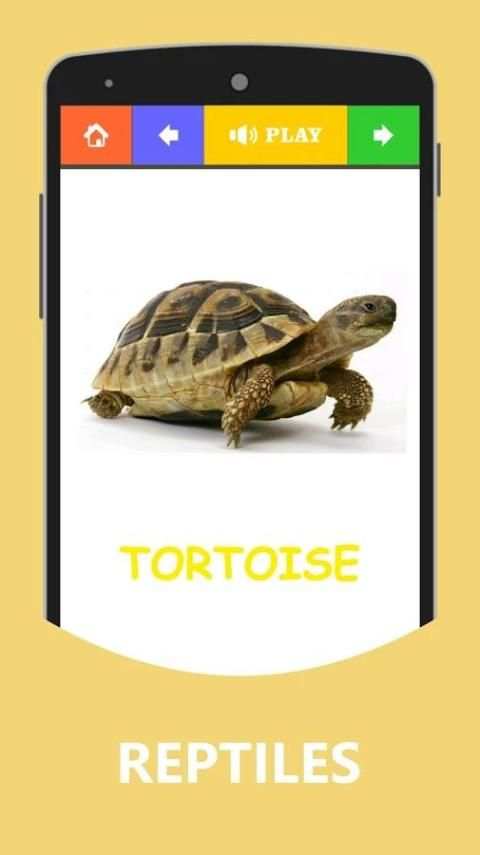 Animals and Birds with Sound screenshot 4
