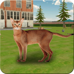 Crazy Cat vs Mouse иконка