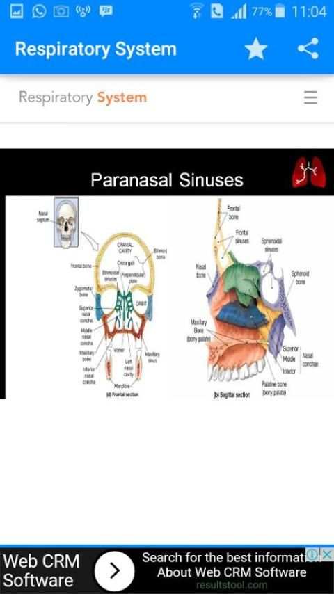 Respiratory System 2 تصوير الشاشة