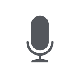 Voice Recorder Pro icon