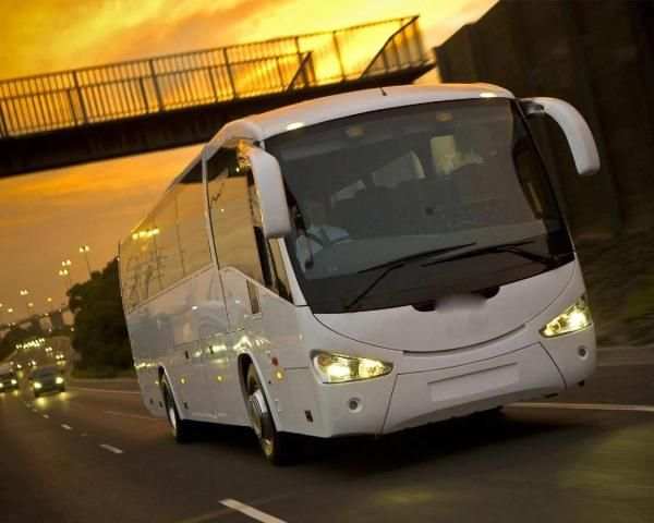 Jigsaw Bus Scania IrizarCentur screenshot 2