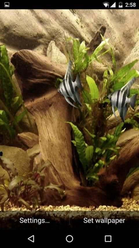 HD Aquarium Live Wallpaper 3D screenshot 8