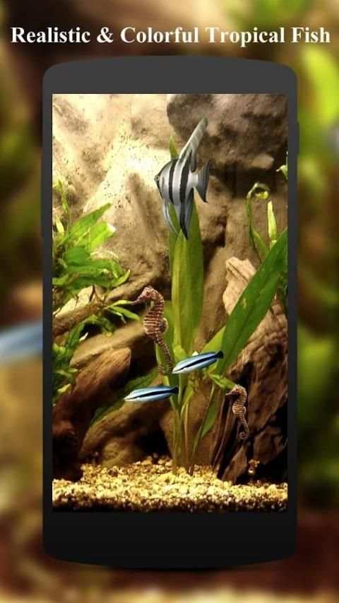 HD Aquarium Live Wallpaper 3D screenshot 2