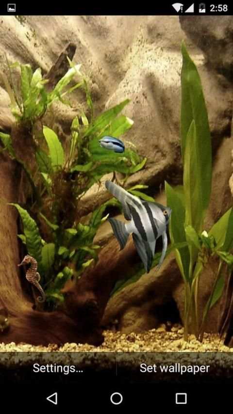 HD Aquarium Live Wallpaper 3D screenshot 7