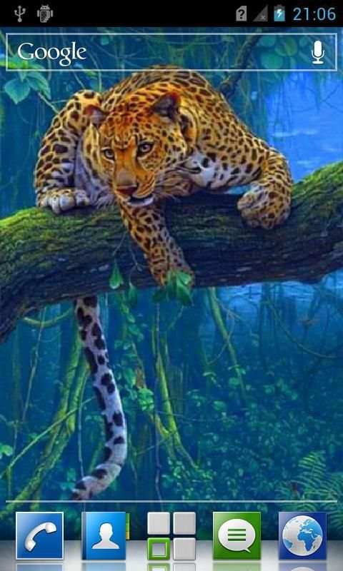 Leopard live wallpaper screenshot 1