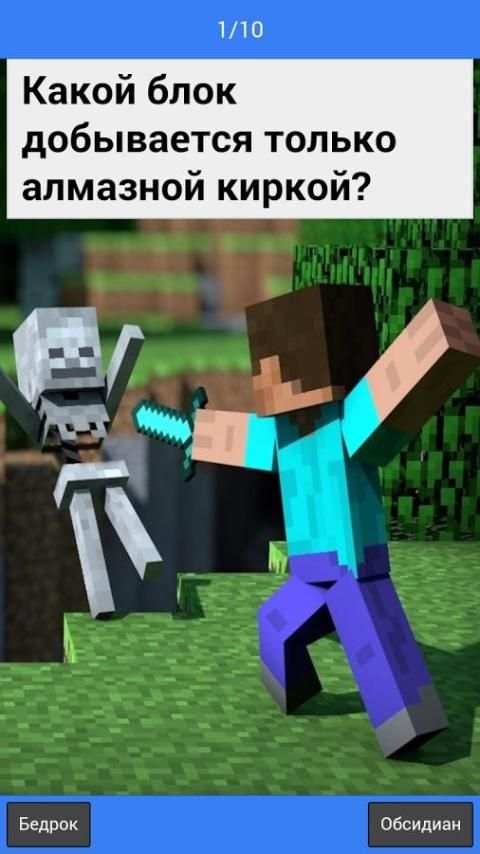 Тест "Minecraft Edition" screenshot 5