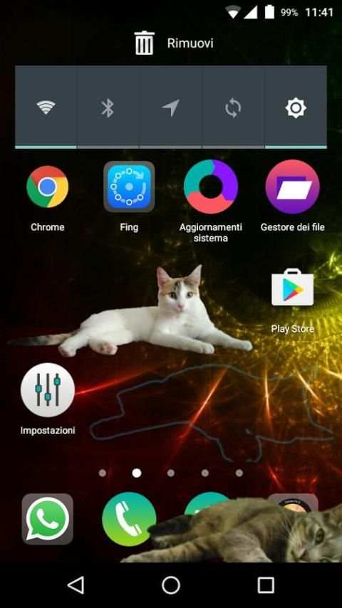Zenka the cat widget screenshot 2