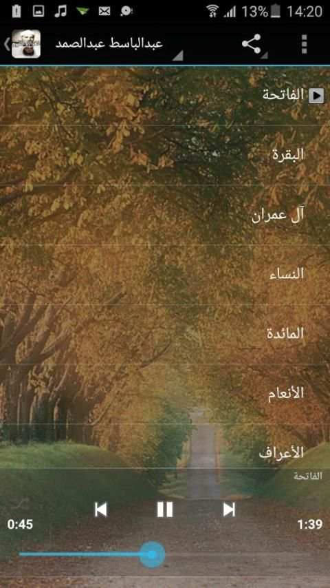 القرآن الكريم صوت بدون انترنت screenshot 4
