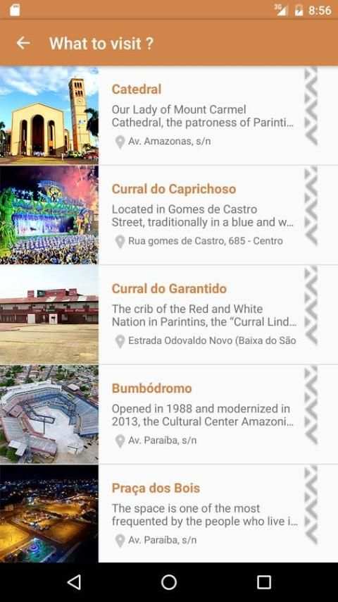 Parintins screenshot 1