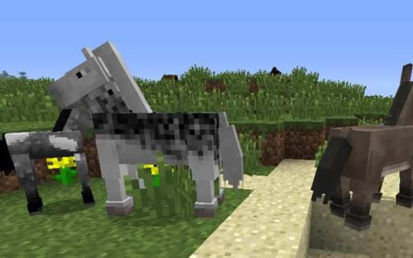 Horse Mods for Minecraft PE screenshot 2