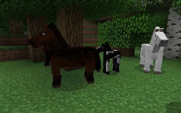 Horse Mods for Minecraft PE screenshot 3