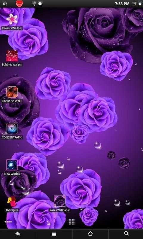 Roses PRO live wallpaper screenshot 4