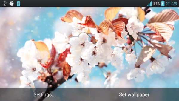 Snow Flower Live Wallpaper screenshot 1