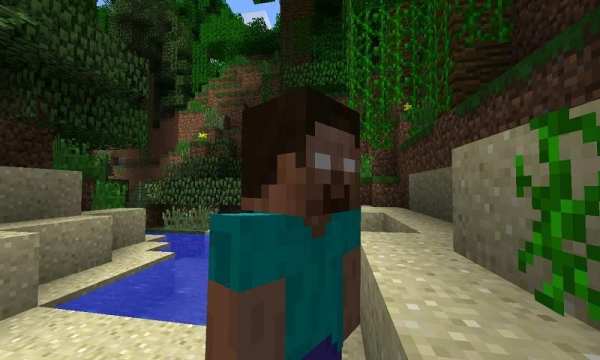 Mod Hero Brine for MCPE screenshot 3